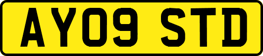 AY09STD