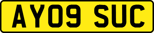 AY09SUC