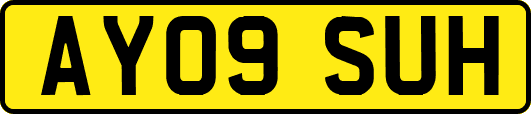 AY09SUH