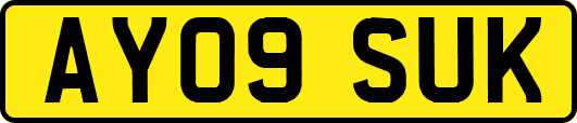 AY09SUK