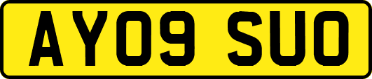 AY09SUO