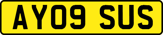 AY09SUS