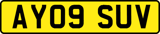 AY09SUV