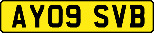 AY09SVB