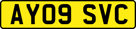 AY09SVC