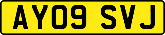 AY09SVJ