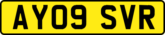 AY09SVR