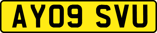AY09SVU