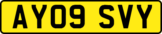 AY09SVY
