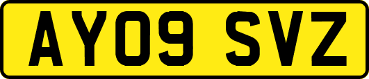 AY09SVZ