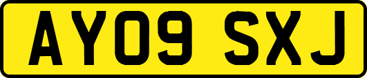 AY09SXJ