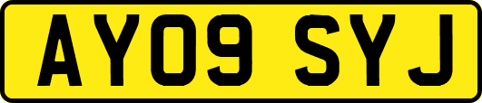 AY09SYJ