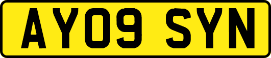 AY09SYN