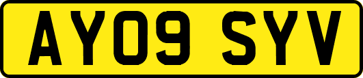 AY09SYV