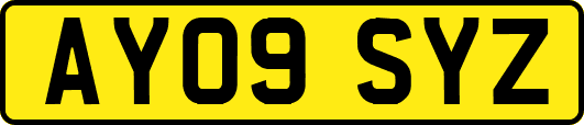 AY09SYZ