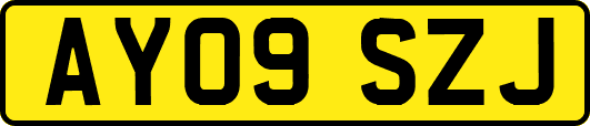 AY09SZJ