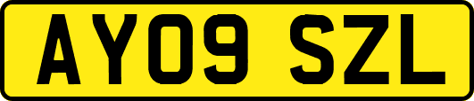 AY09SZL