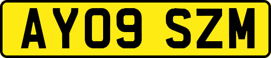 AY09SZM