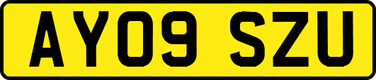 AY09SZU