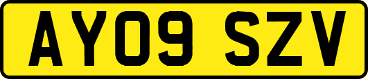 AY09SZV
