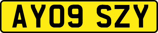 AY09SZY