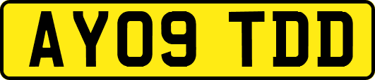 AY09TDD