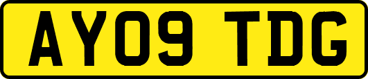 AY09TDG