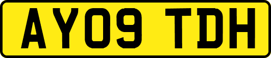 AY09TDH
