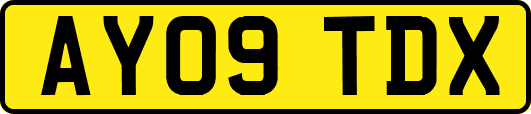 AY09TDX