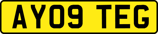 AY09TEG