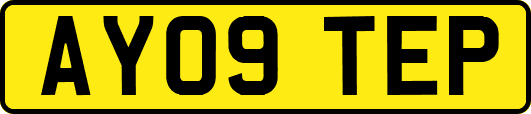 AY09TEP