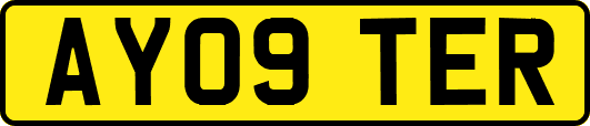 AY09TER