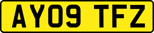 AY09TFZ