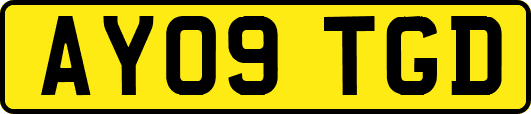 AY09TGD
