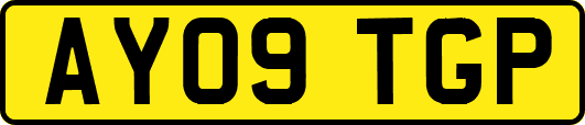 AY09TGP