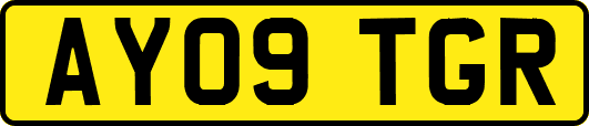 AY09TGR