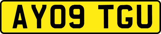 AY09TGU