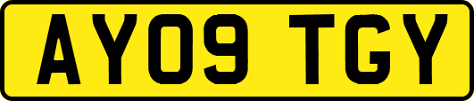 AY09TGY