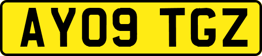 AY09TGZ
