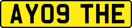 AY09THE