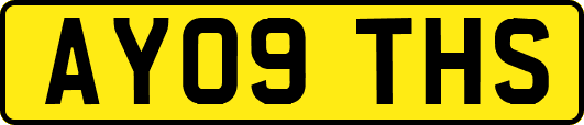 AY09THS