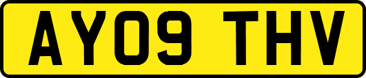 AY09THV