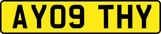 AY09THY