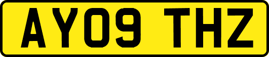 AY09THZ
