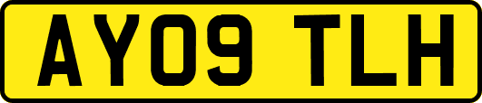 AY09TLH