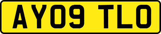 AY09TLO