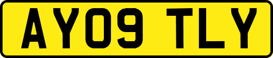 AY09TLY
