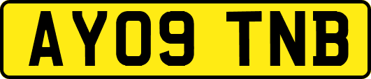 AY09TNB
