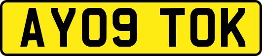 AY09TOK