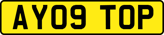 AY09TOP